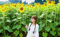 沈阳小伙狂喷壮壮